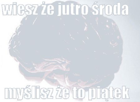 Mózg jutro środa